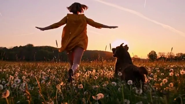 日落时分，一个女人带着她的狗在草地上奔跑视频素材