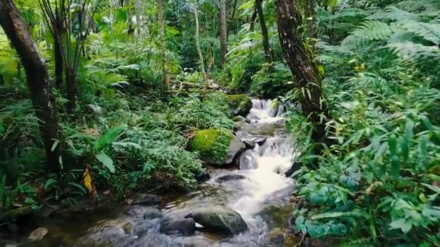 无人机航拍接近热带瀑布美丽的小溪流在泰国北部的雨林。视频素材