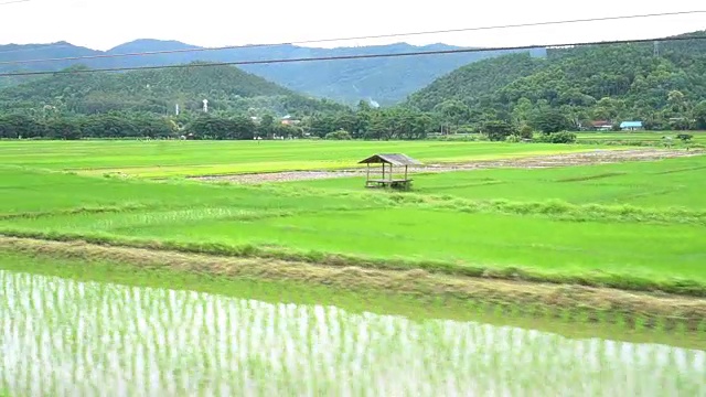 路过的稻田景观视频素材