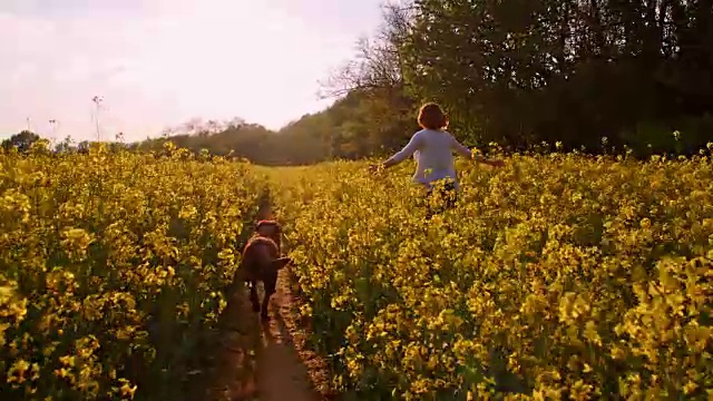 快乐的女人和她的狗在油菜籽地里奔跑视频素材