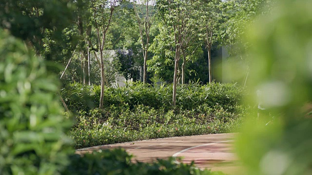 亚洲父子早上在花园里慢动作慢跑视频素材