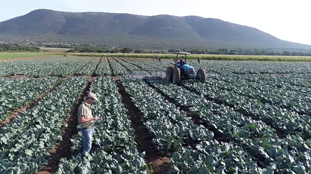 农民使用数字平板电脑的鸟瞰图和监测拖拉机在农作物上喷洒农药视频素材