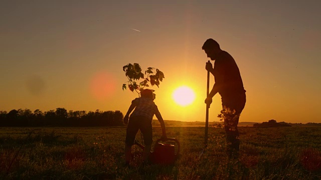 父亲和儿子在地里种一棵树视频素材