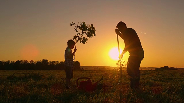 父亲和儿子在种树视频素材