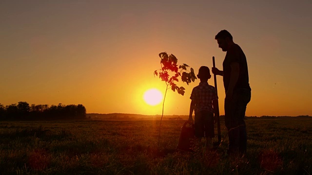骄傲的父子俩欣赏着落日的景色视频素材