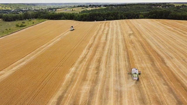 小麦收获鸟瞰图。美丽的农业场景。视频下载