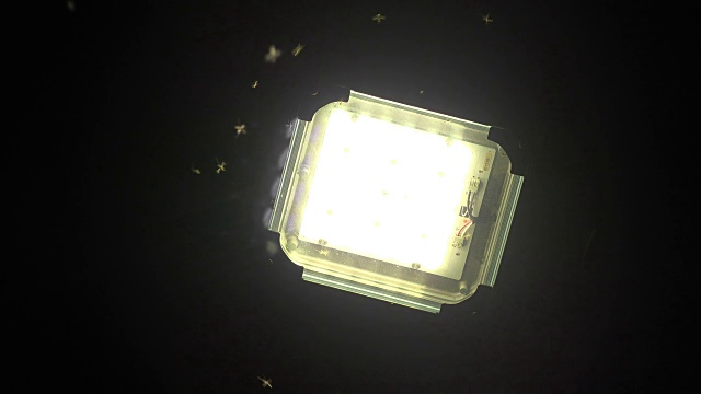 安装LED面板灯，让蚊子在黑暗中飞行视频下载