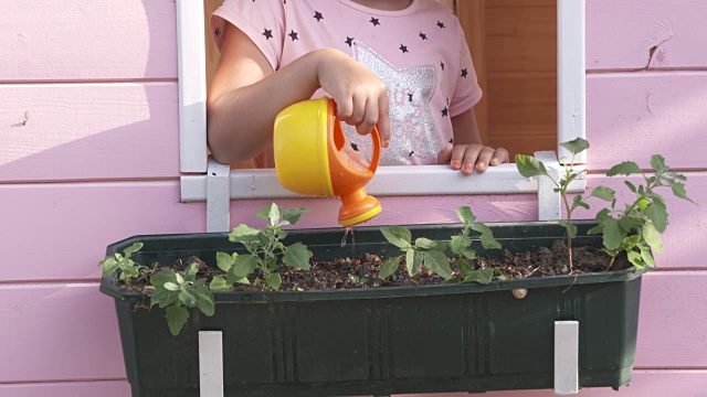 小女孩在粉红色的玩具屋的窗台上给花浇水。视频素材
