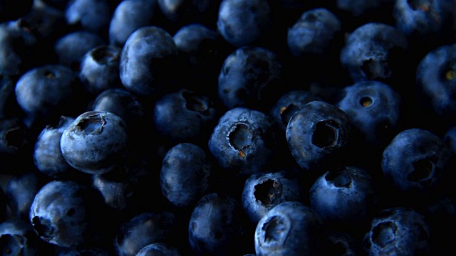 蓝莓全框使用背景视频素材