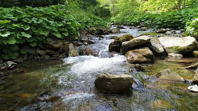 喀尔巴阡山脉美丽的河流视频素材