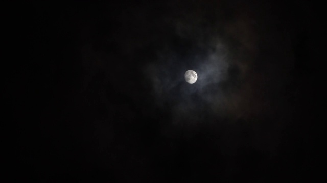 满月之夜视频下载