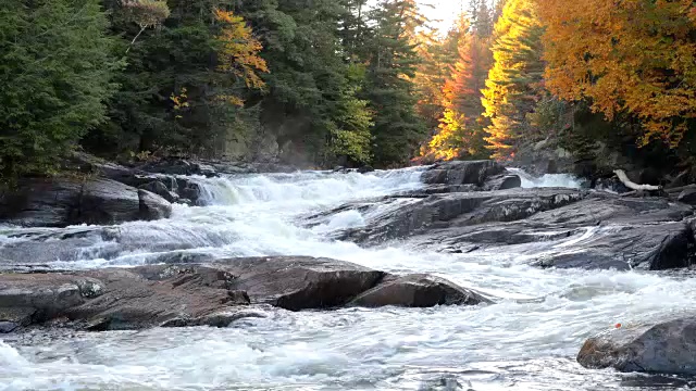 秋天的河流和瀑布森林自然景观，魁北克，加拿大视频下载