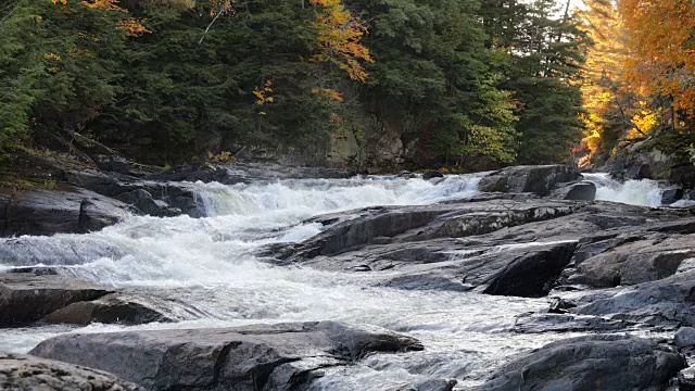 秋天的河流和瀑布森林自然景观，魁北克，加拿大视频素材
