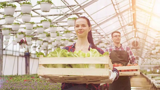 两个快乐的温室工人提着装满蔬菜的箱子。人们对他们种植的有机食物微笑和高兴。视频素材