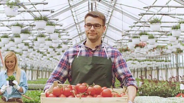 快乐的农民带着装满西红柿的盒子走过工业的，明亮的温室，其他农民在蔬菜上工作。有成排的有机植物在生长。视频素材