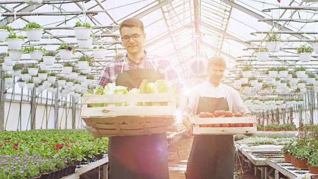 两个工业温室工人背着装满蔬菜的箱子。人们对他们种植的有机食物微笑和高兴。视频素材