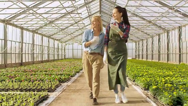 两名快乐的温室工人走过一排排五颜六色的鲜花和绿色蔬菜。他们对自己种植的有机食品微笑并感到高兴。视频下载