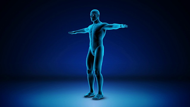 一个人的身体突出你的肌肉-可循环(alpha频道)- 4K视频下载