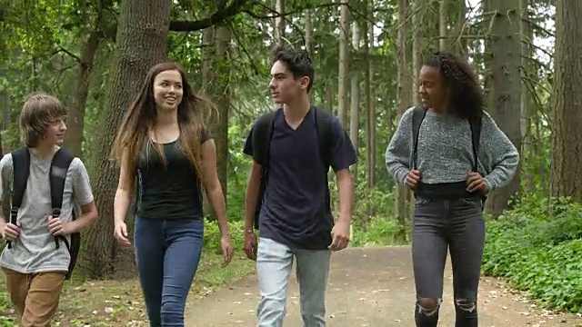 学生们一起在森林里散步视频素材