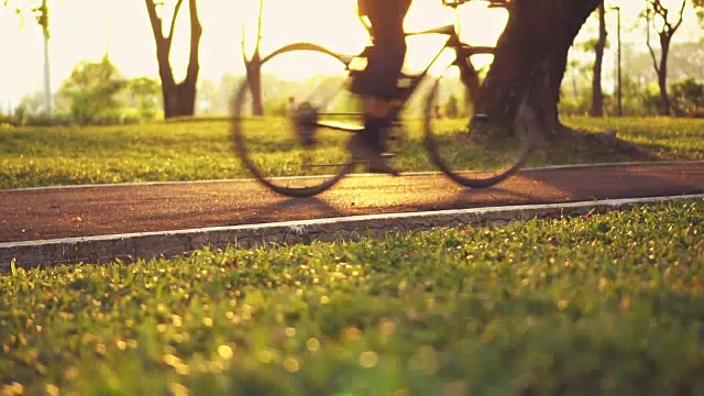 公园里的自行车道视频素材