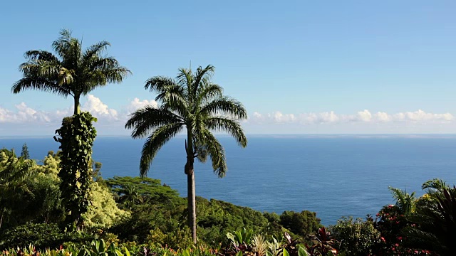 热带海滩景观，夏威夷视频下载