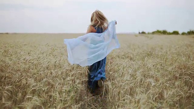 背后的观点，有吸引力的年轻女子在一个长长的蓝色连衣裙跑通过金色的麦田在她的手拿围巾。披肩在风中飘扬。自由的概念。Slowmotion拍摄视频下载