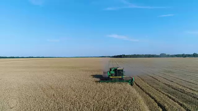 航拍:联合收割机在一片美丽的黄色麦田里收割庄稼。视频素材