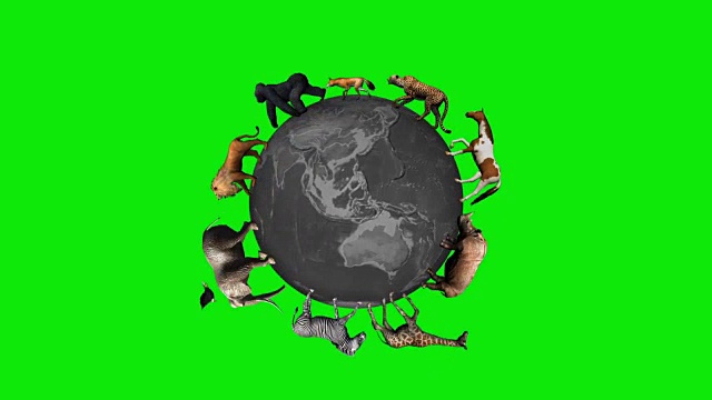 动物环绕世界，环球绿屏视频下载