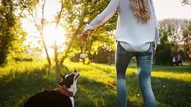美丽的黑发和狗在自然中玩日落视频素材