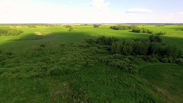 绿色田野的鸟瞰图视频素材
