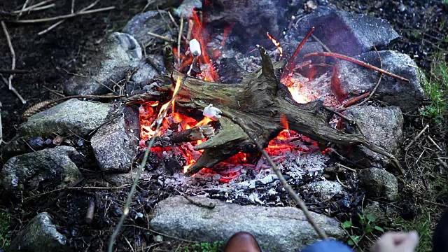 两个人在篝火上用棍子煎棉花糖视频素材