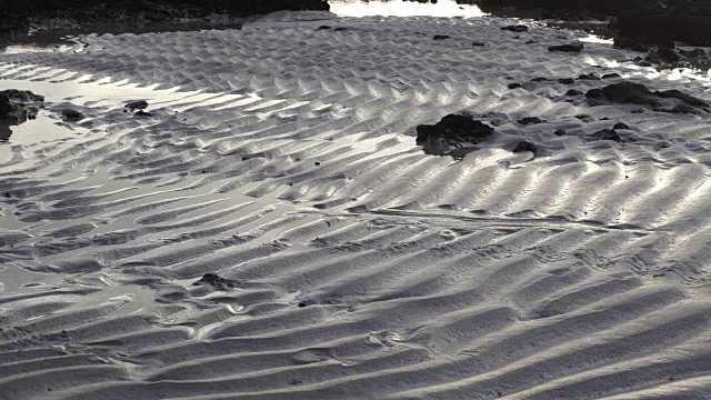 科拉雷霍沙滩上的涟漪-富埃特文图拉视频下载
