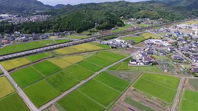 无人机拍摄的日本稻田鸟瞰图视频素材