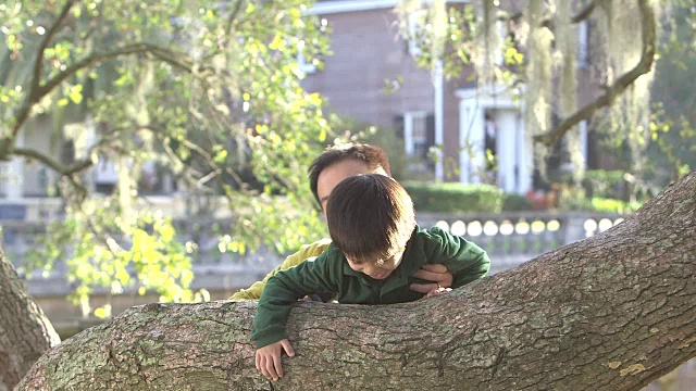 亚洲父亲帮助小男孩爬树视频素材