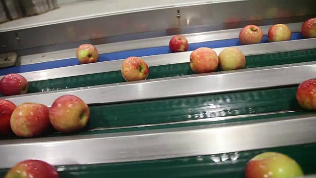 传送带上干净新鲜的苹果视频素材
