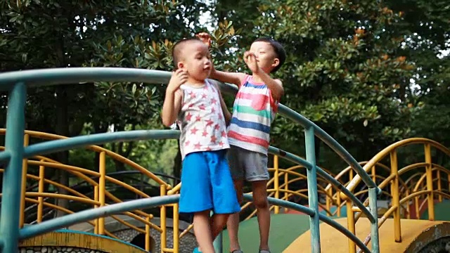 两个兄弟在公园里玩视频下载