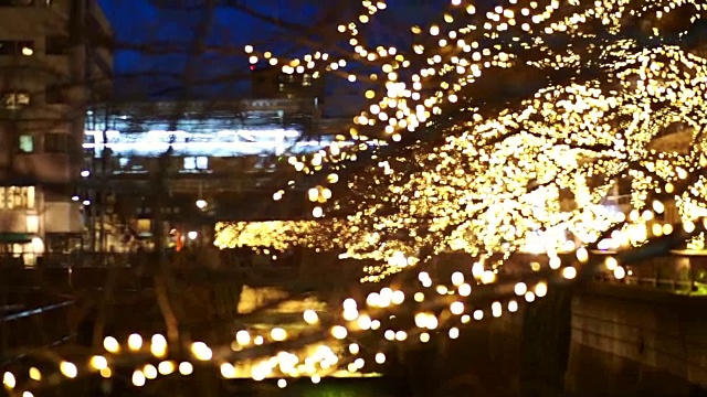美丽的金色圣诞灯在东京，日本。光在中目黑运河反射视频下载