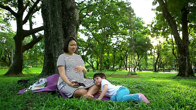 孕妇带着孩子在户外。母亲和儿子在夏季公园的自然背景。小男孩拥抱着第二次怀孕的母亲。怀孕、新生活、家庭、亲子观念。视频下载