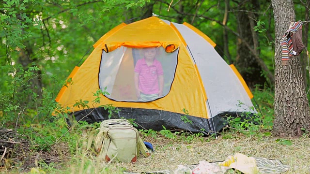 一个男孩在森林里的帐篷里。视频下载