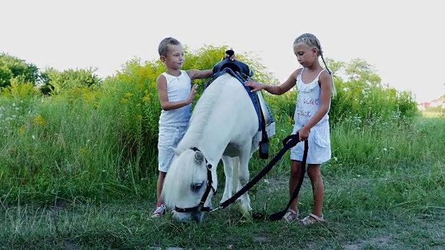孩子们，一个七岁的男孩和一个七岁的女孩，抚摸着一匹白色的小马。愉快、快乐的家庭假期。在户外，在夏天，在森林附近视频下载