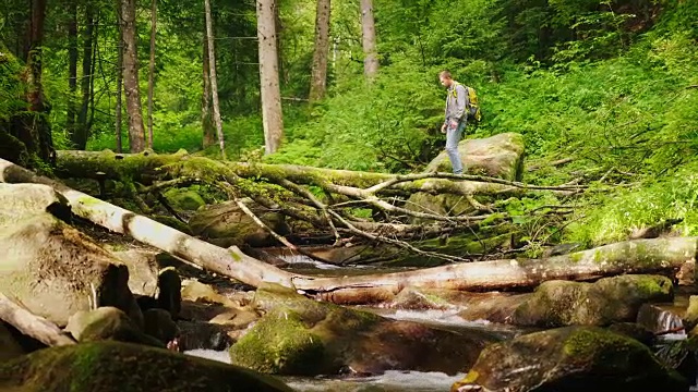 一名背着背包的游客正穿过一棵倒下的树穿过山间的河流视频下载