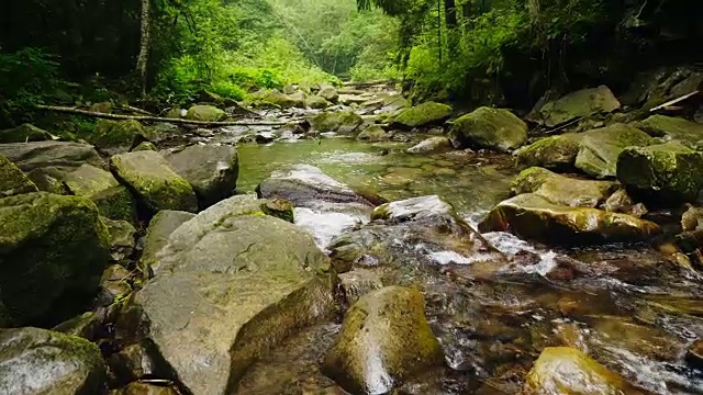 山河或小溪流经森林。水在大石头上沸腾。生态洁净环境视频素材