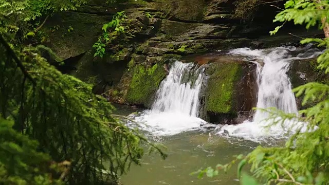 有小瀑布的山河或小溪。前景是云杉的树枝视频素材