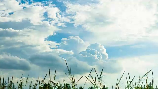 时间流逝:暴风雨的天空在风中吹着草视频下载