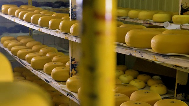 大量的奶酪被储存在奶酪工厂。视频下载