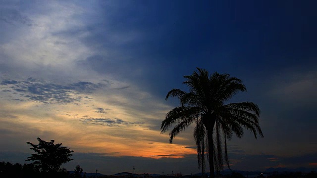 棕榈树的剪影与天空上的日落和风暴云。间隔拍摄视频素材