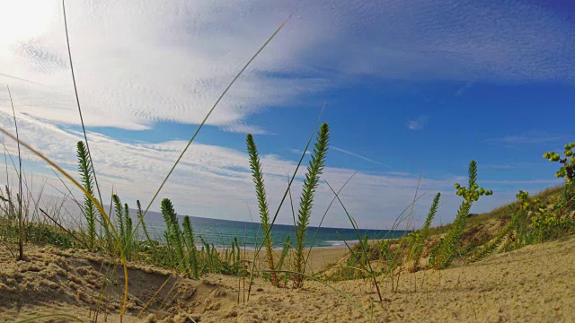 从海滩上的沙丘看大西洋视频下载