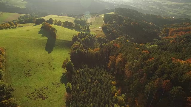 秋天的黑森林视频素材