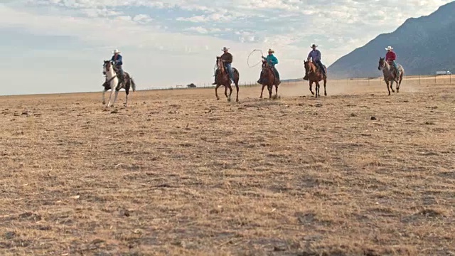 在牧场上，牛仔们用绳子套住一头逃跑的公牛视频素材