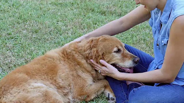 女人放松与她的狗在公园运动后视频素材